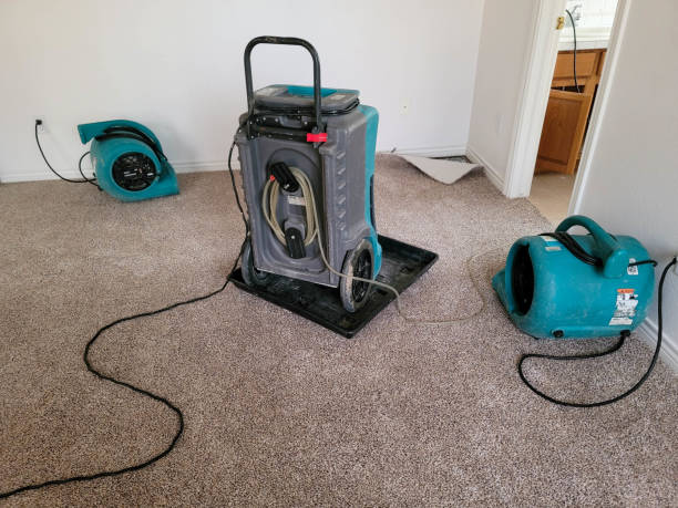 Bala Cynwyd, PA Water damage restoration Company